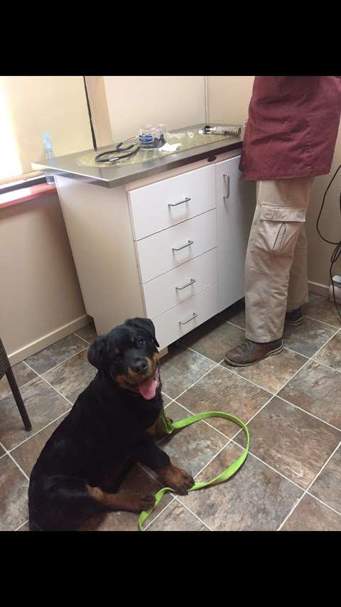 Shuswap Veterinary Clinic Shuswap Veterinary Clinic